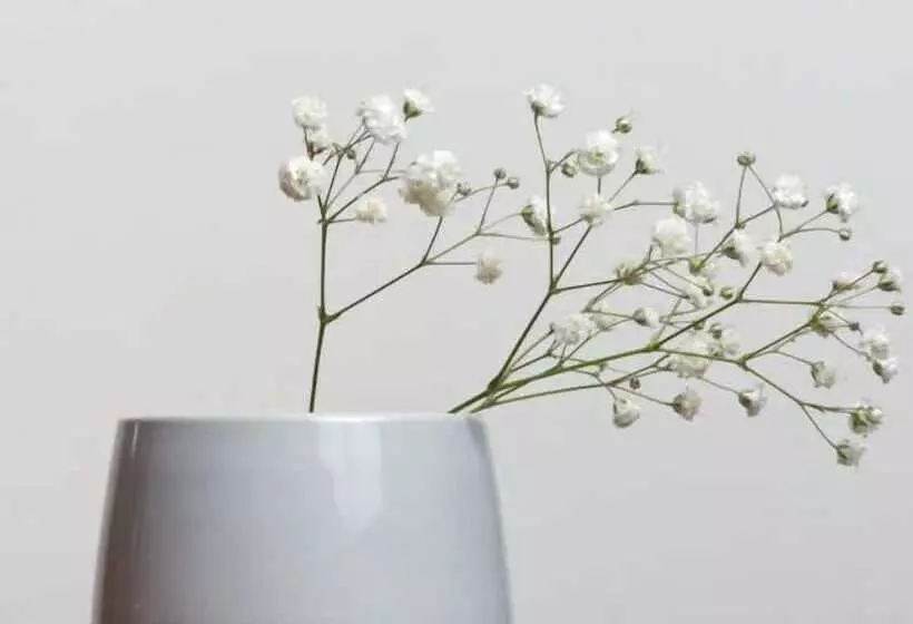 Rafael Hotel And Mansion Bangkok   Sha Extra Plus Certified