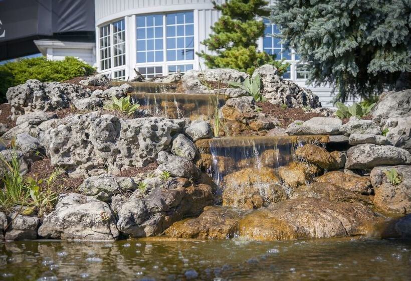 Szálloda Seacliffe Inn