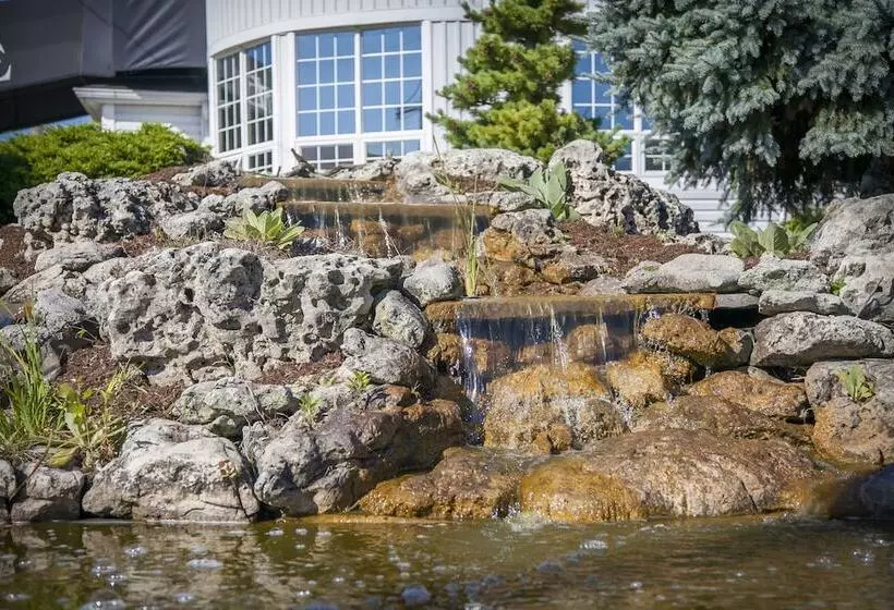 ホテル Seacliffe Inn