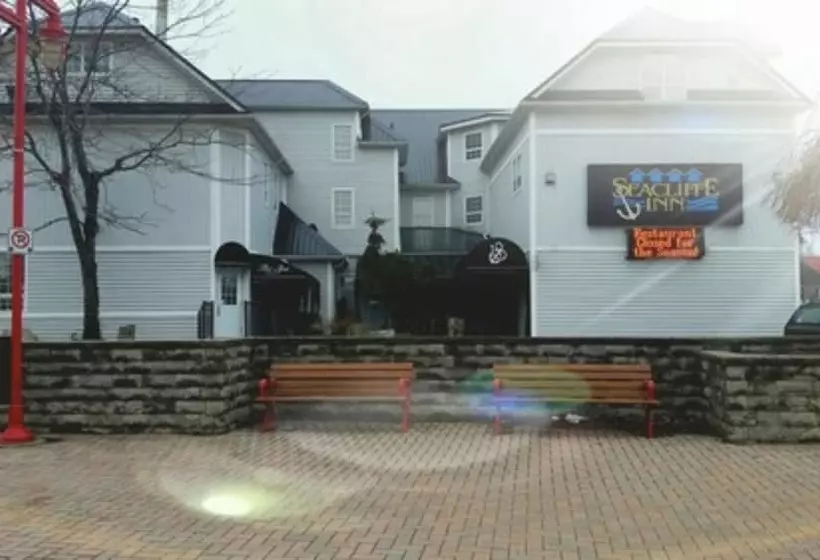 ホテル Seacliffe Inn