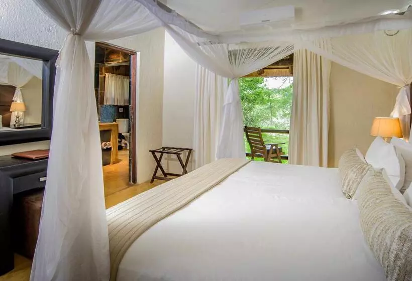 ホテル Karongwe Portfolio Shiduli Private Game Lodge