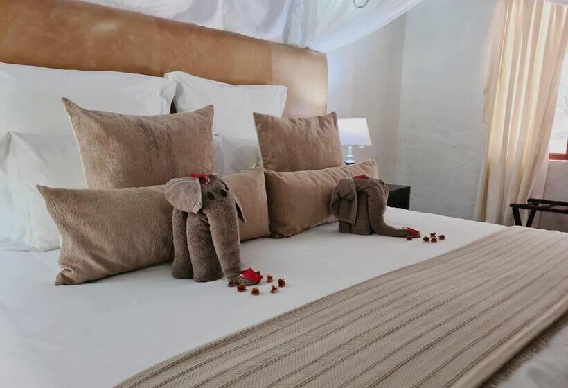 בית מלון כפרי Karongwe Portfolio   Shiduli Private Game Lodge