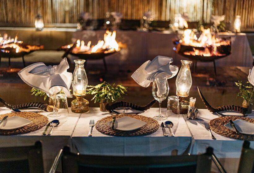 בית מלון כפרי Karongwe Portfolio   Shiduli Private Game Lodge