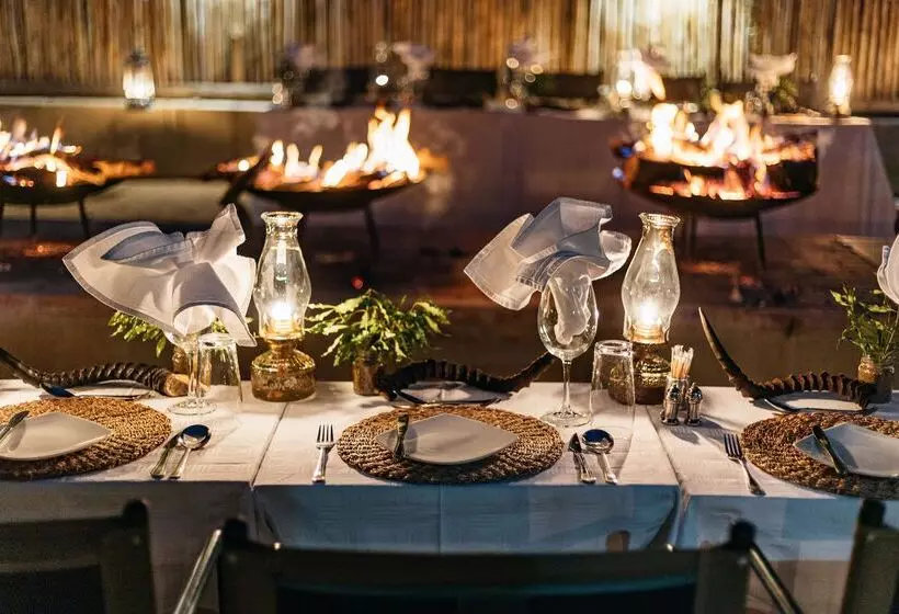 ホテル Karongwe Portfolio Shiduli Private Game Lodge