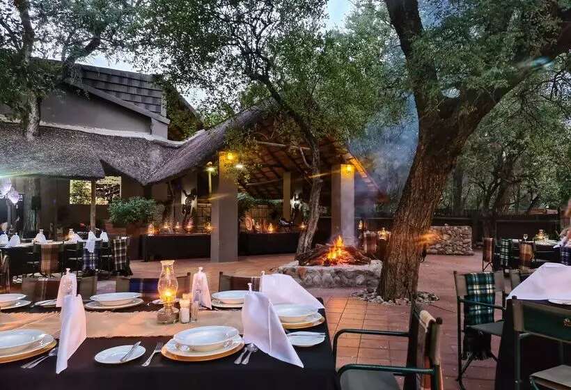 ホテル Karongwe Portfolio Shiduli Private Game Lodge