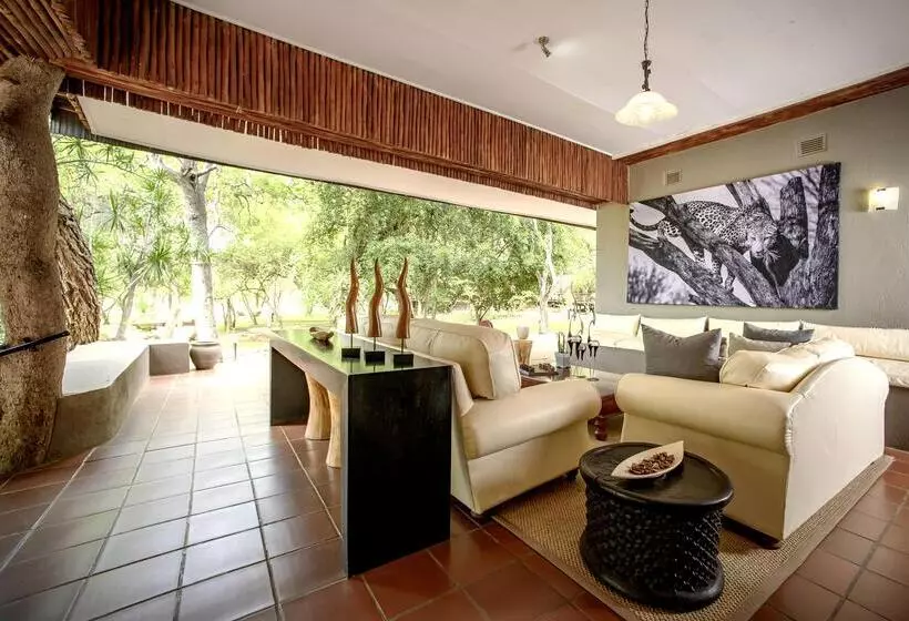 ホテル Karongwe Portfolio Shiduli Private Game Lodge