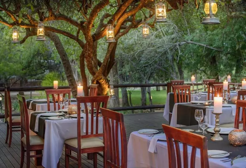 ホテル Karongwe Portfolio Shiduli Private Game Lodge