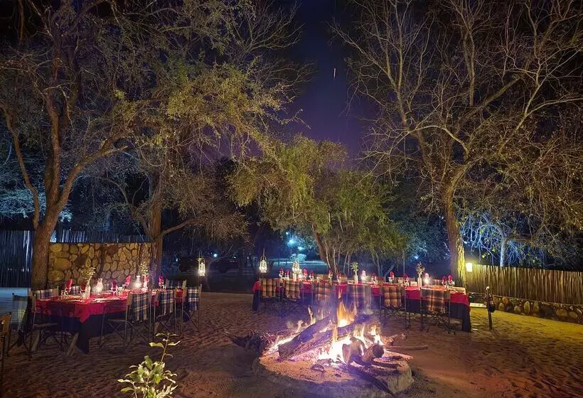 ホテル Karongwe Portfolio Shiduli Private Game Lodge