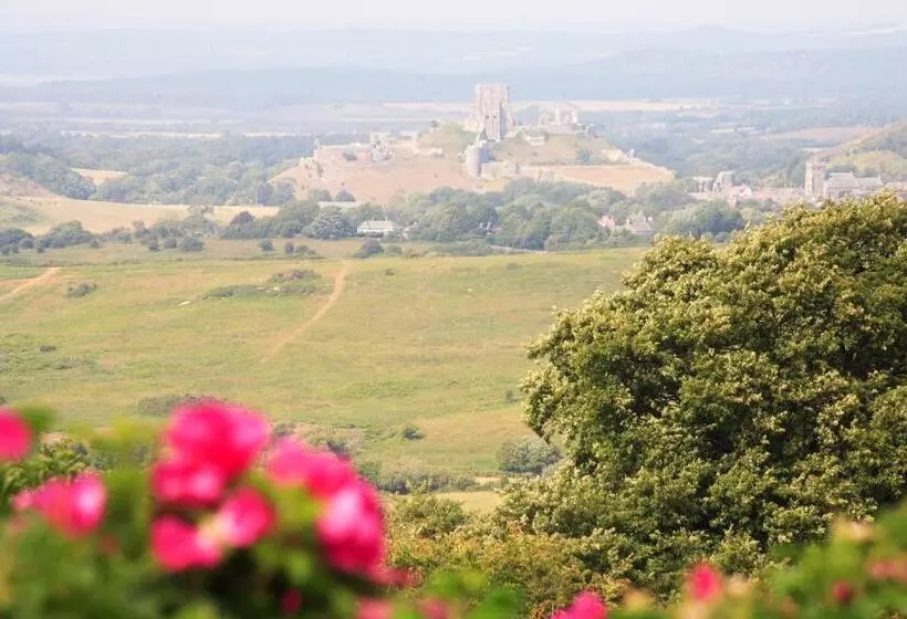 Отель The Scott Arms