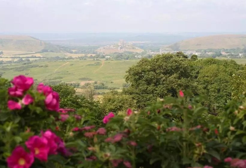 Отель The Scott Arms