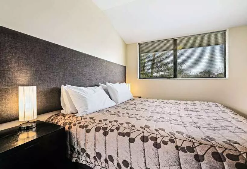 モーテル Quality Suites Amore