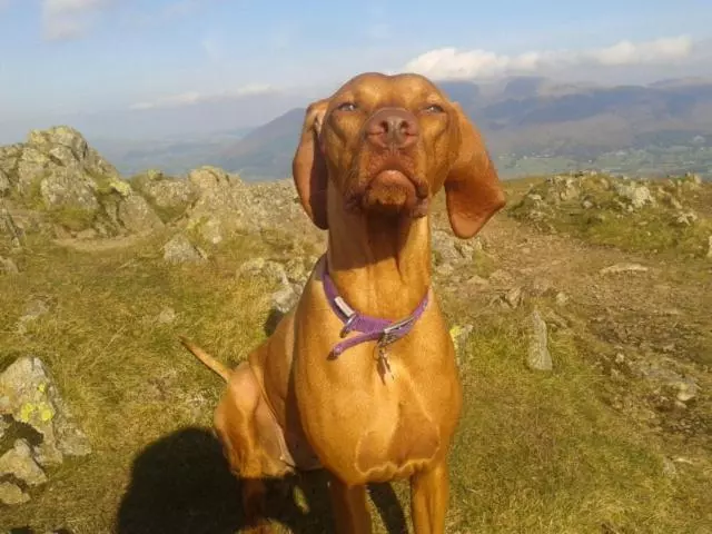 ペンション Babbling Brook Guesthouse