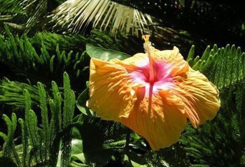 Pensiune Le Triskell