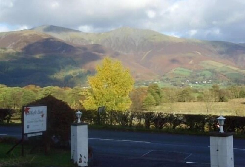 بنسيون Maple Bank