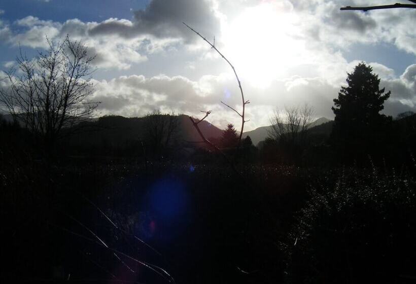 بنسيون Maple Bank