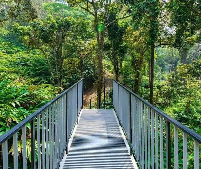 Resort The Tall Trees Munnar