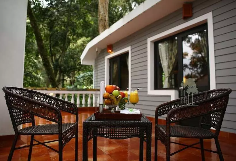 Resort The Tall Trees Munnar