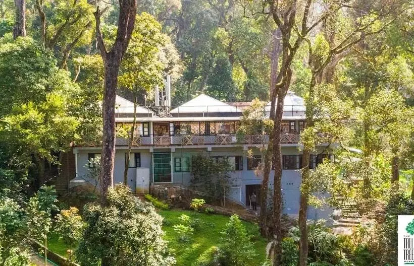 Resort The Tall Trees Munnar