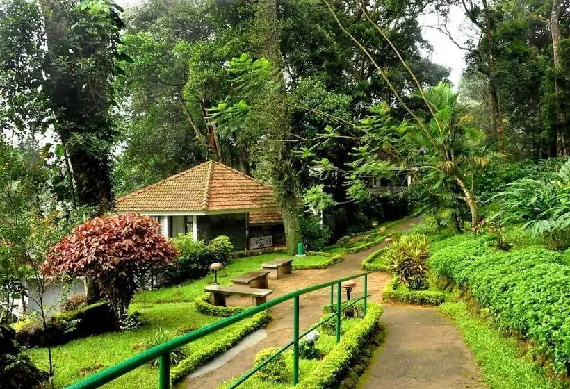Resort The Tall Trees Munnar