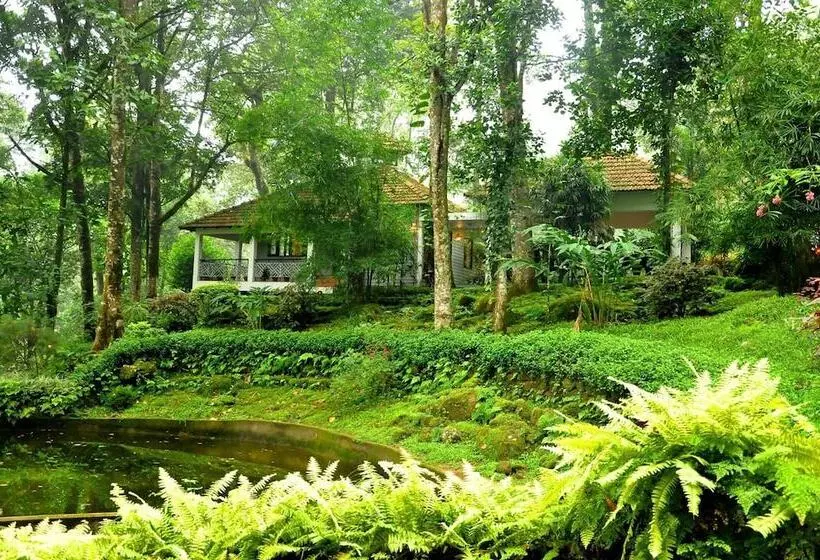 Resort The Tall Trees Munnar