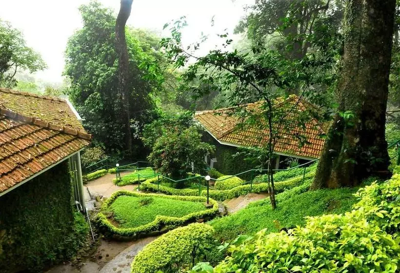 Resort The Tall Trees Munnar