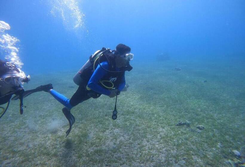هاستل Bedouins Inn Village