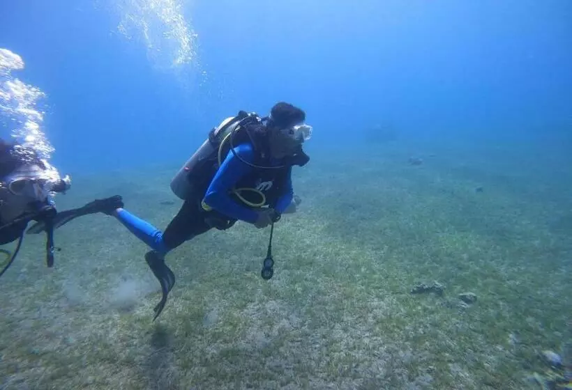 هاستل Bedouins Inn Village