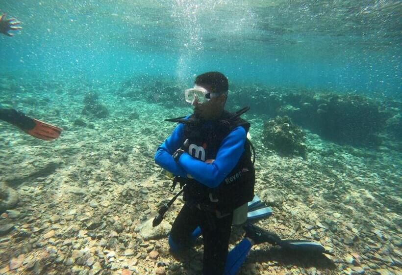 هاستل Bedouins Inn Village