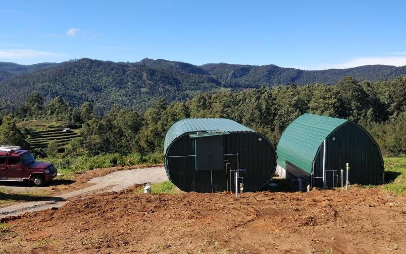 Bed and Breakfast Cozy Capsules