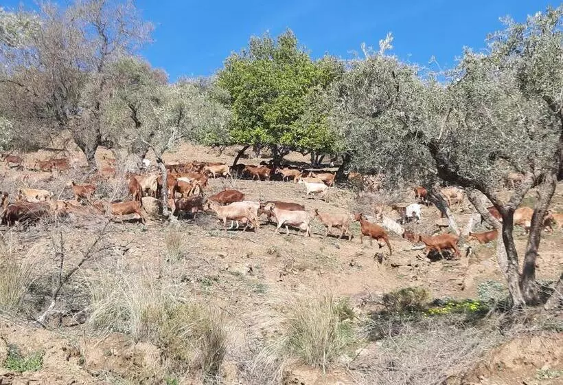 Casa Montaña Vélez Málaga B&b