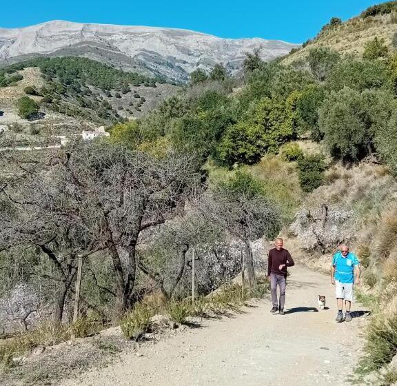 Casa Montaña Vélez Málaga B&b