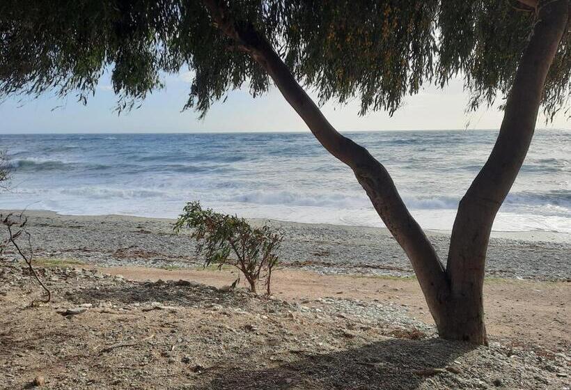 Casa Montaña Vélez Málaga B&b