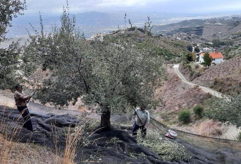 Casa Montaña Vélez Málaga B&b
