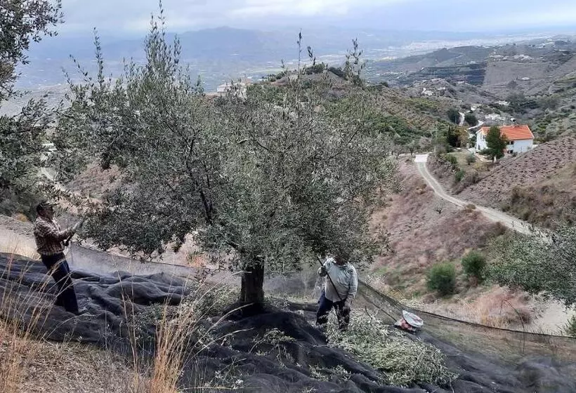 Casa Montaña Vélez Málaga B&b