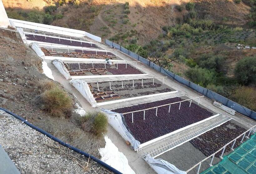 Casa Montaña Vélez Málaga B&b