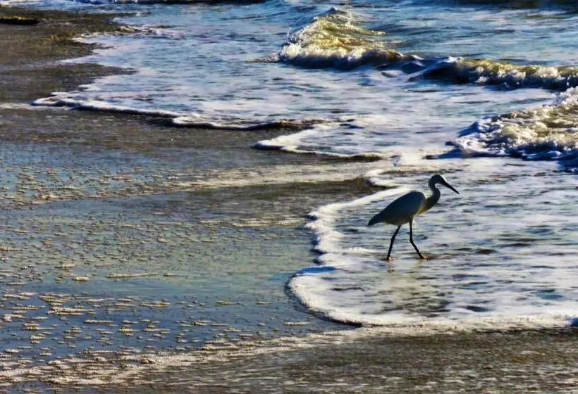 Hostel Casa Da Pedra Chata