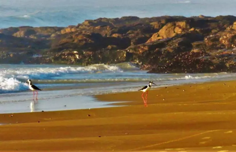 Hostel Casa Da Pedra Chata