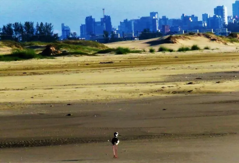 Hostel Casa Da Pedra Chata