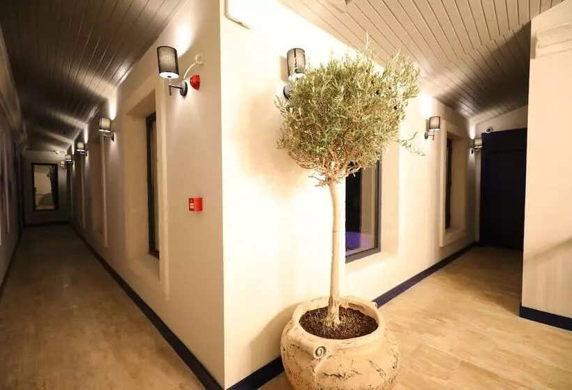 Hotelli Ariel Plus Alaçatı