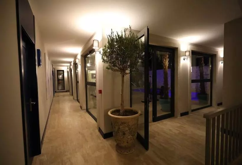 Hotelli Ariel Plus Alaçatı