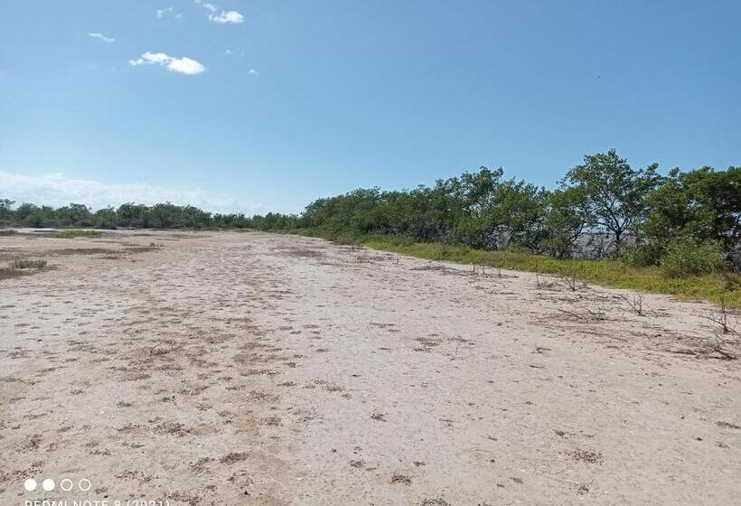 فندق Flamencamarones