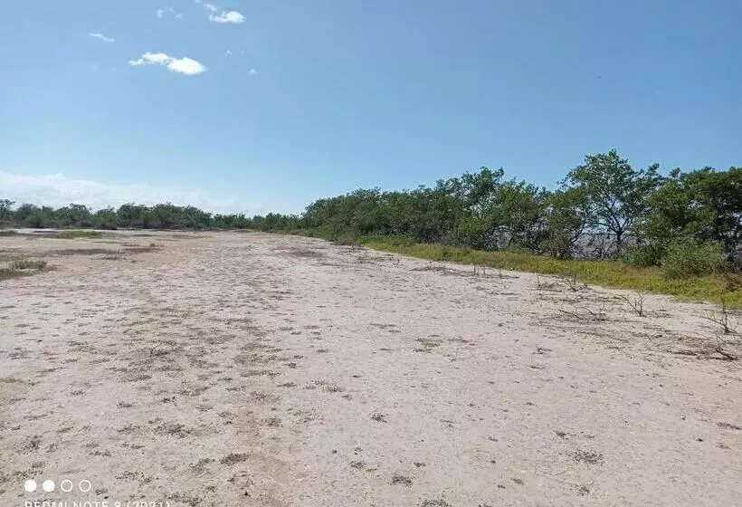 Hotelli Flamencamarones