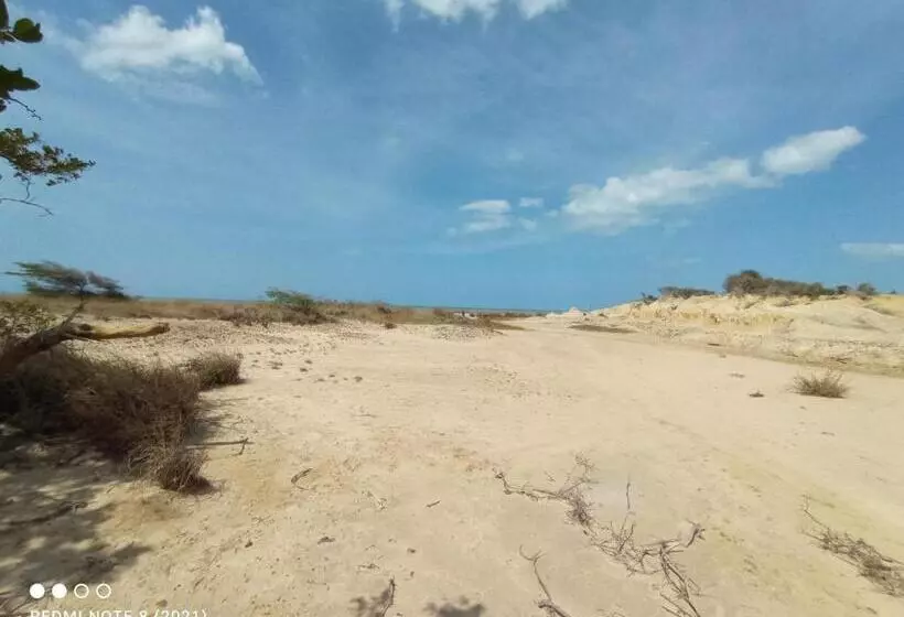 Hotelli Flamencamarones