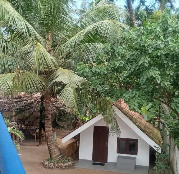 בית מלון כפרי Ocean View