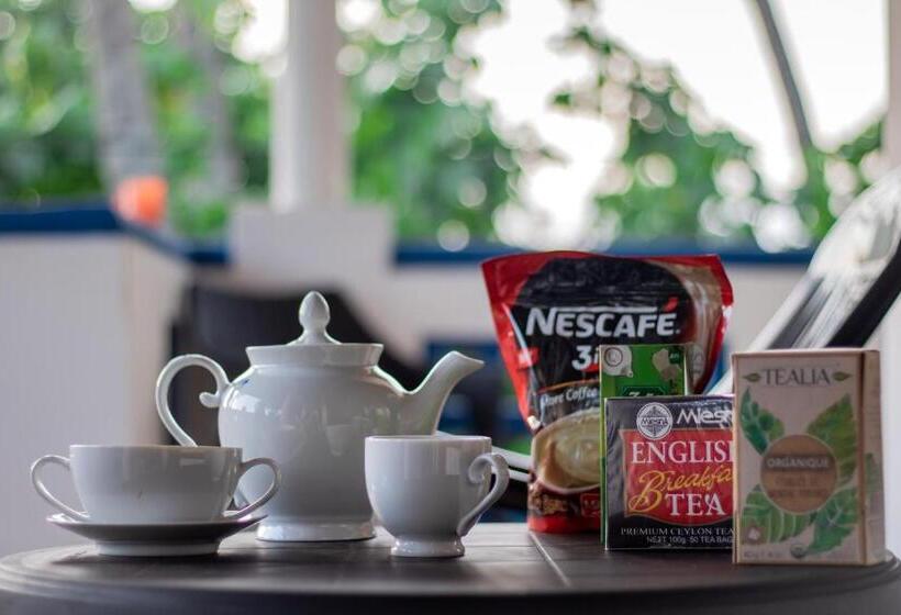 בית מלון כפרי Ocean View