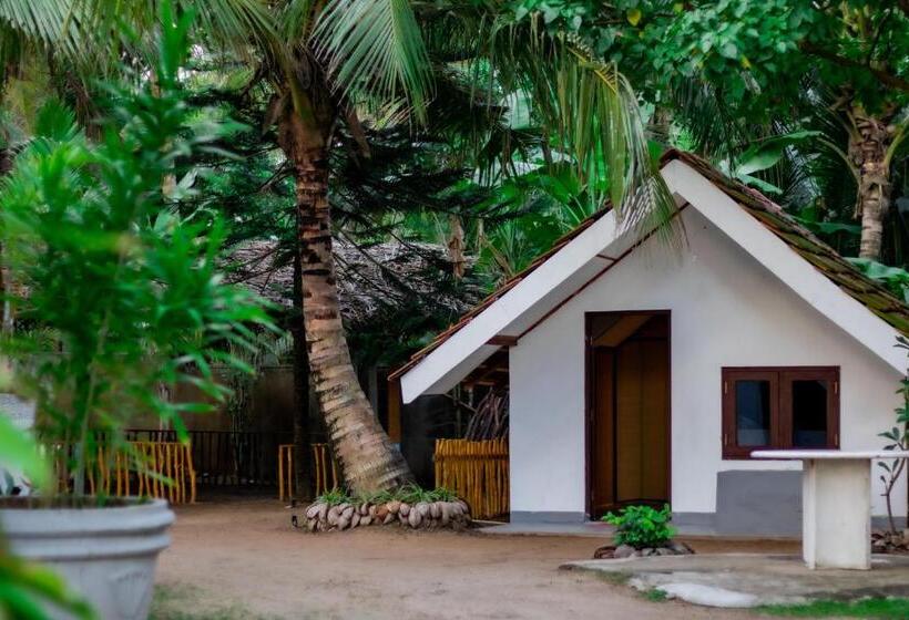 בית מלון כפרי Ocean View