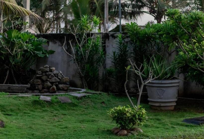 בית מלון כפרי Ocean View