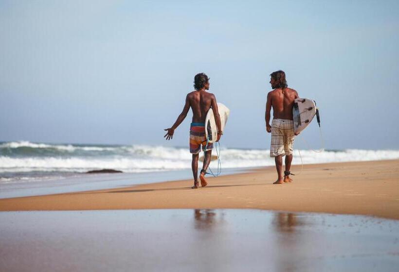 בית מלון כפרי Ocean View