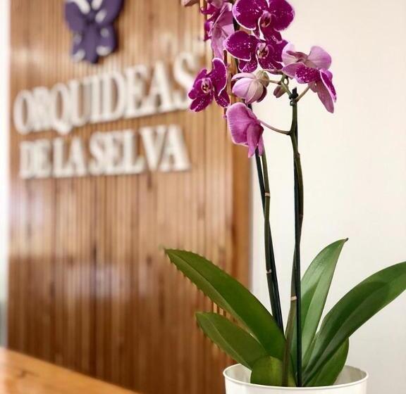 Hotel Orquídeas De La Selva