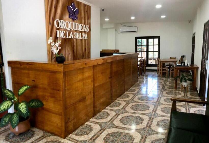 Hotel Orquídeas De La Selva